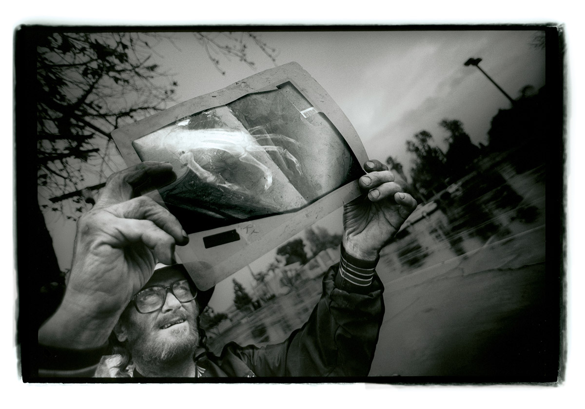 For seven months, Robert X lived comfortably under the carob trees on the 405 freeway embankment