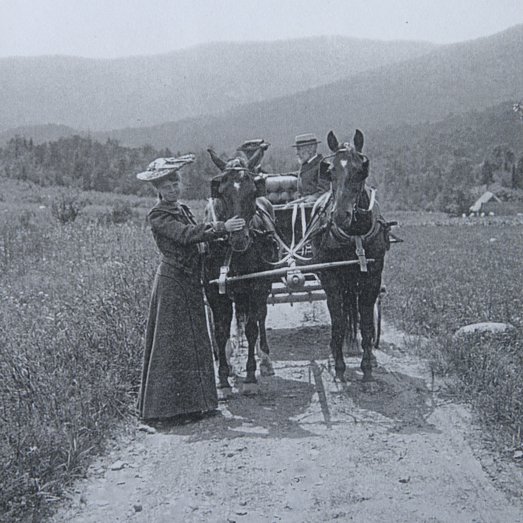 woman in sunhat horse drawn carriage Steeplechase North Jurupa Valley, California